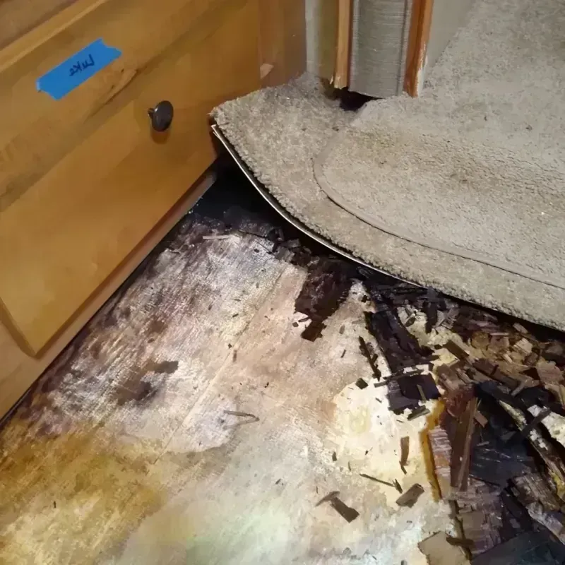 Best Wood Floor Water Damage Service in Bedford, VA